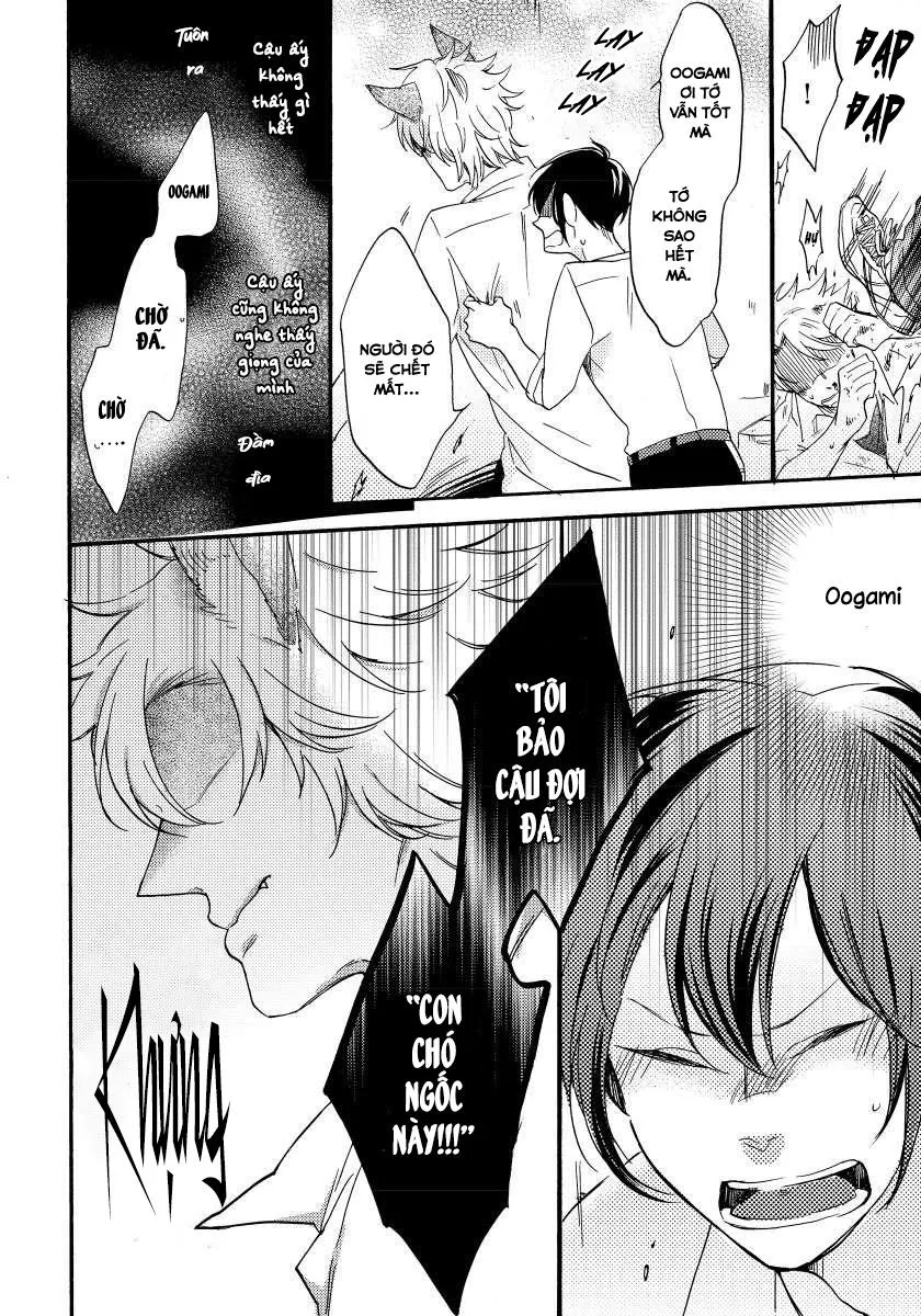 Oogami Yêu Dấu Của Tôi! Chapter 1 Trang 32