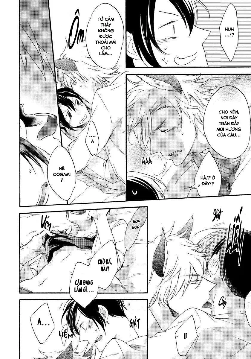 Oogami Yêu Dấu Của Tôi! Chapter 1 Trang 40