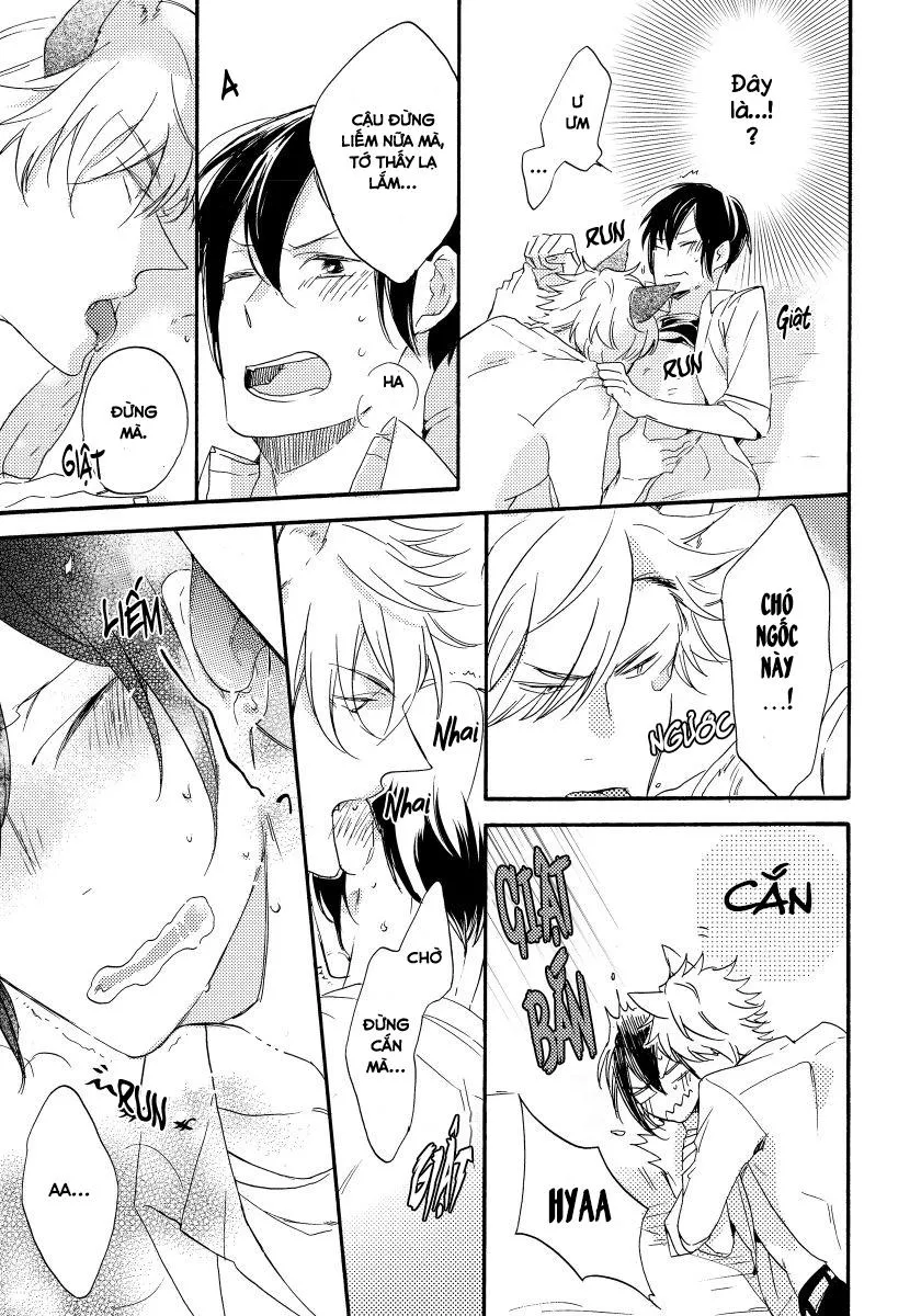 Oogami Yêu Dấu Của Tôi! Chapter 1 Trang 41