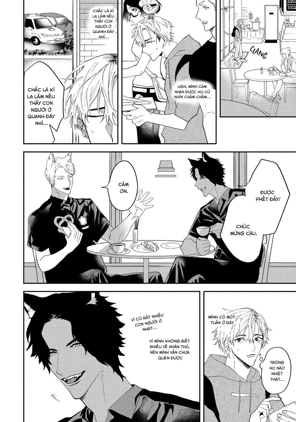 Ookami no Bonitoo Chapter 1 Trang 9