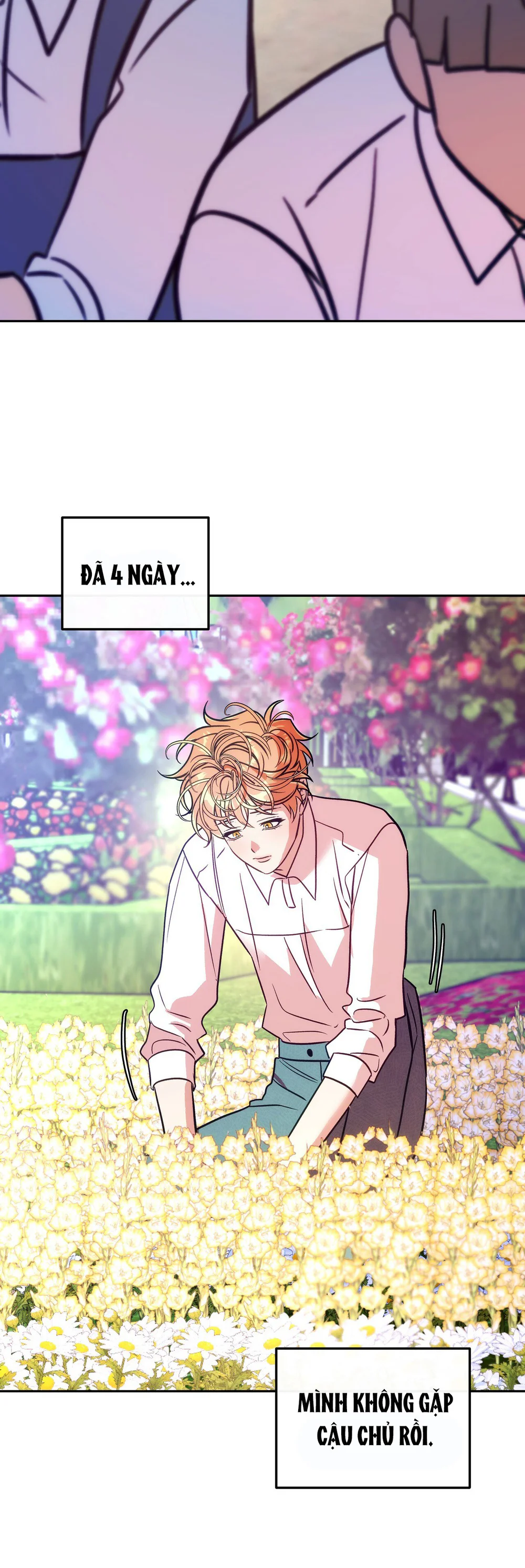 ORCA MANSION Chapter 12 Trang 4