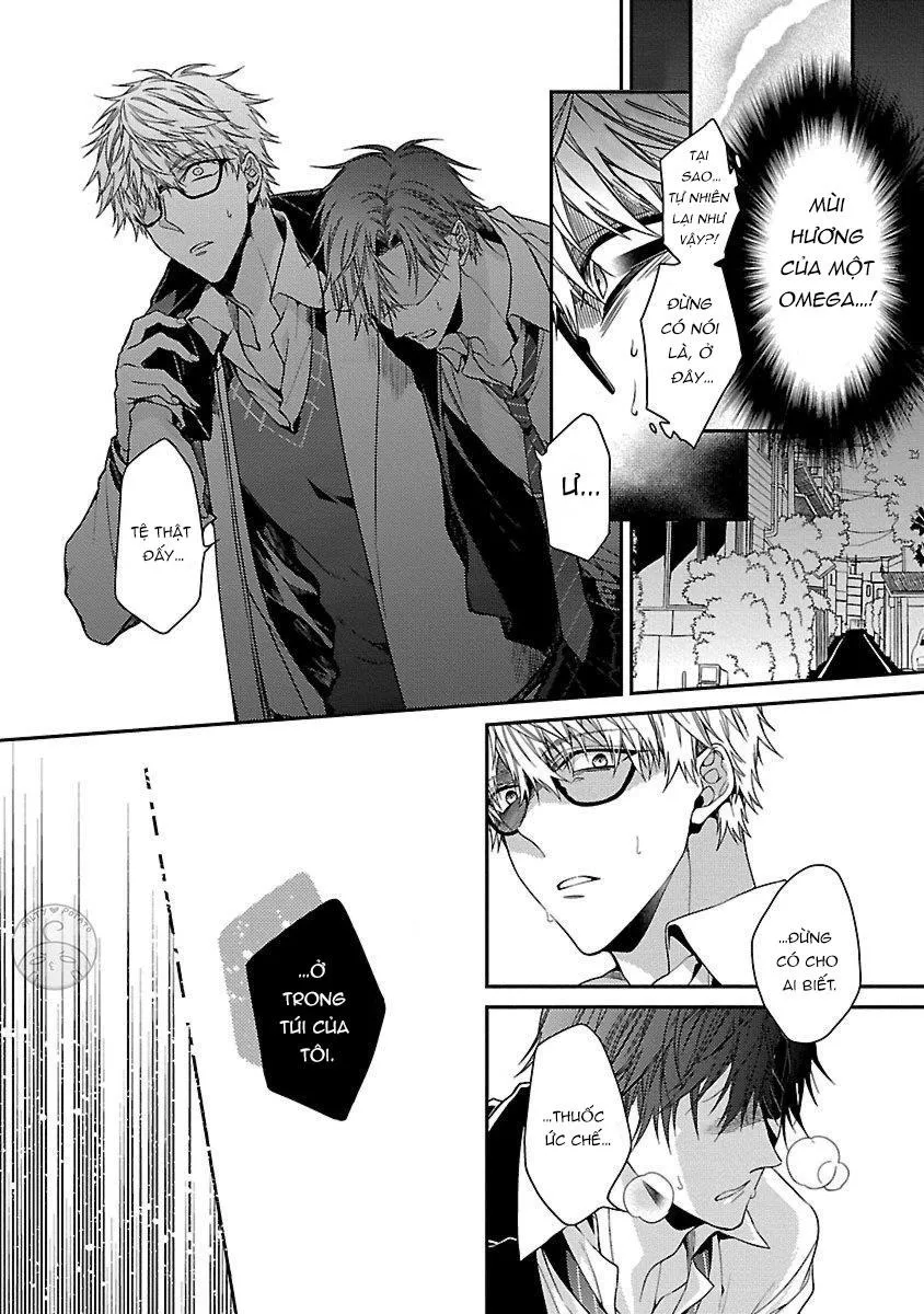 Ore no Kirai na Tsugaisama Chapter 1 Trang 9