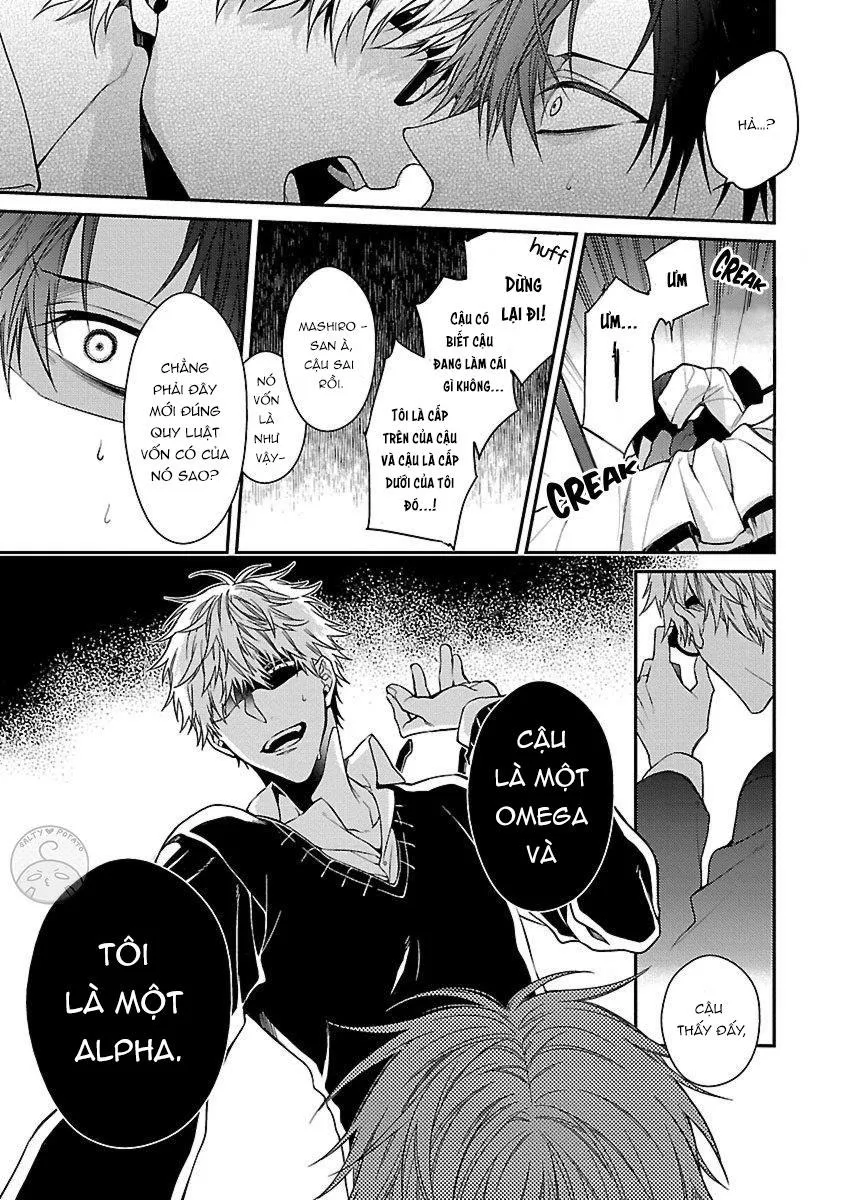 Ore no Kirai na Tsugaisama Chapter 1 Trang 14