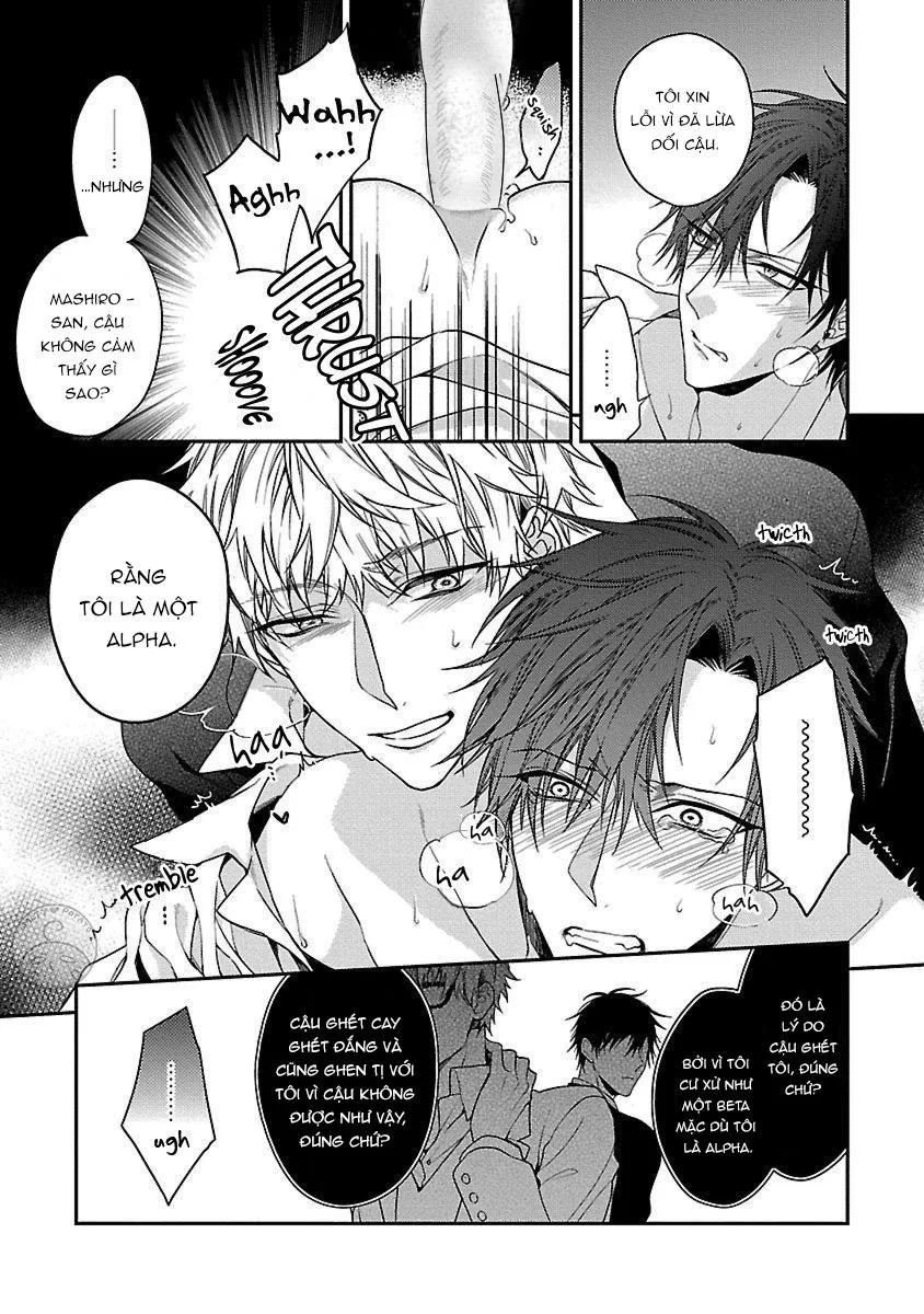 Ore no Kirai na Tsugaisama Chapter 1 Trang 16