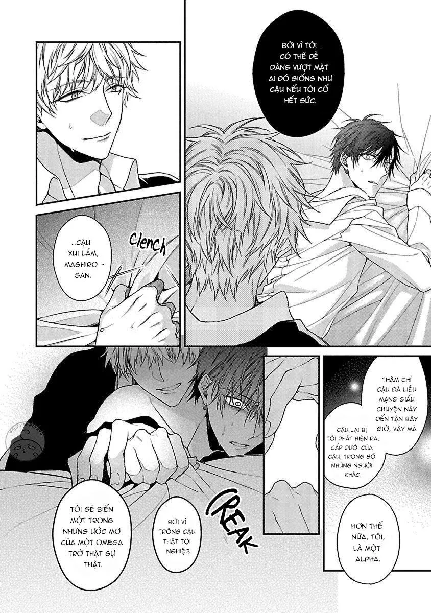 Ore no Kirai na Tsugaisama Chapter 1 Trang 17