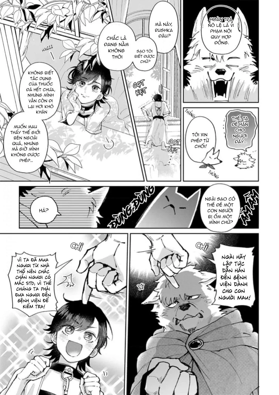 Vòng cổ của hoàng tử Chapter 2 Trang 3