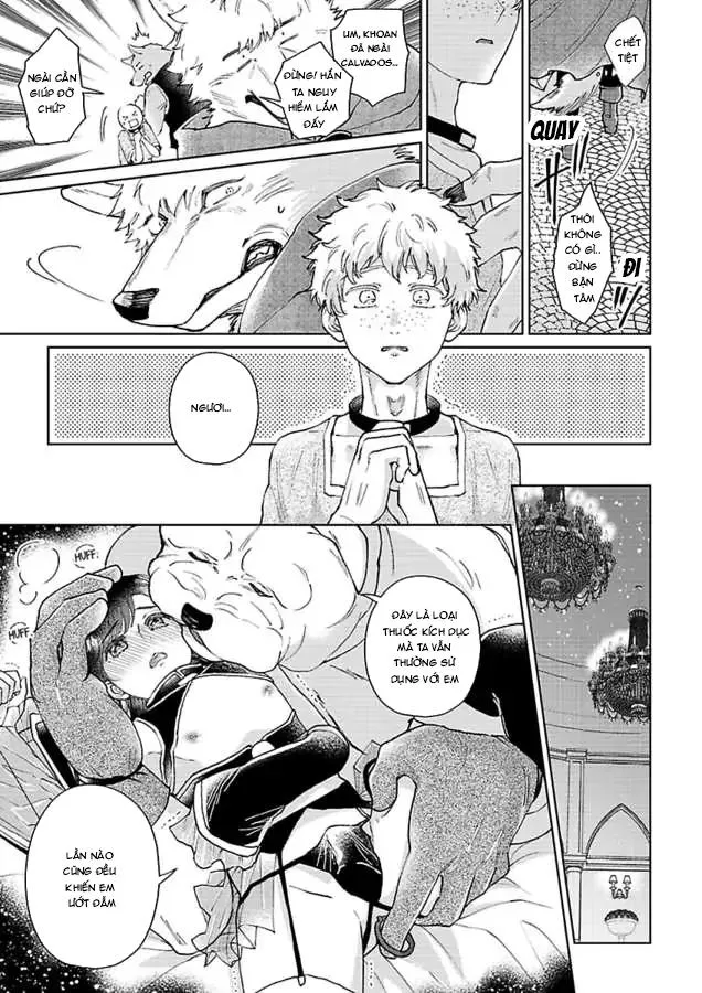 Vòng cổ của hoàng tử Chapter 5 Trang 5