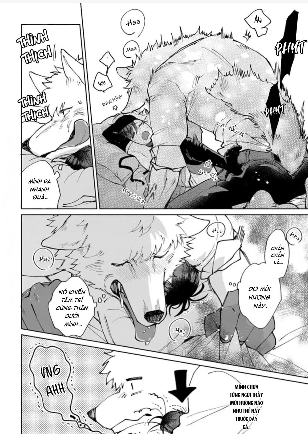 Vòng cổ của hoàng tử Chapter 1 Trang 14