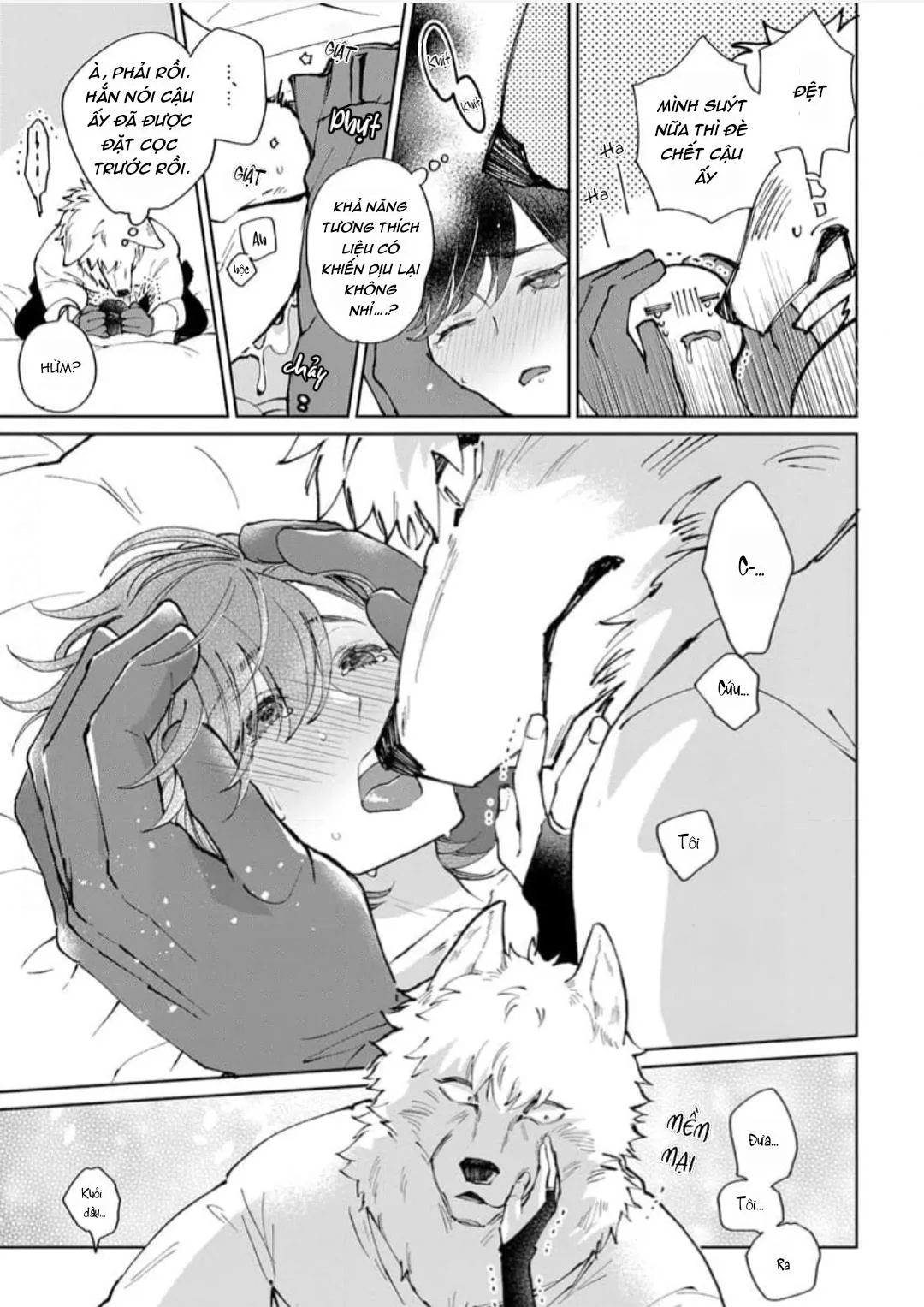 Vòng cổ của hoàng tử Chapter 1 Trang 15