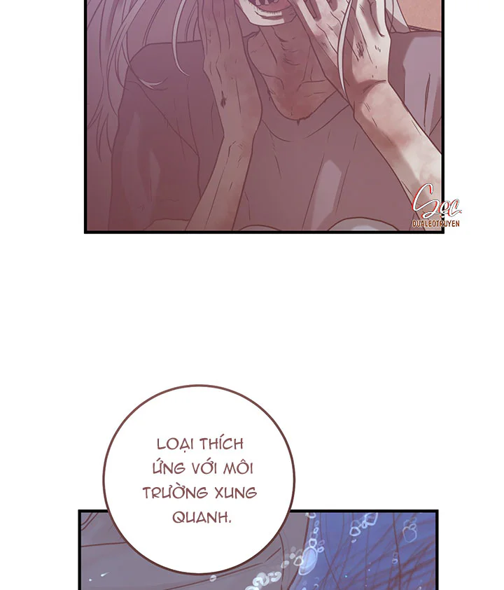 OVER THE PARADISE Chapter 74 Trang 37