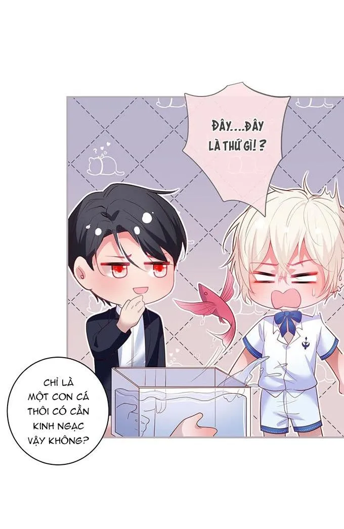 Oxy gây chết người [DROP] Chapter 52 Trang 20