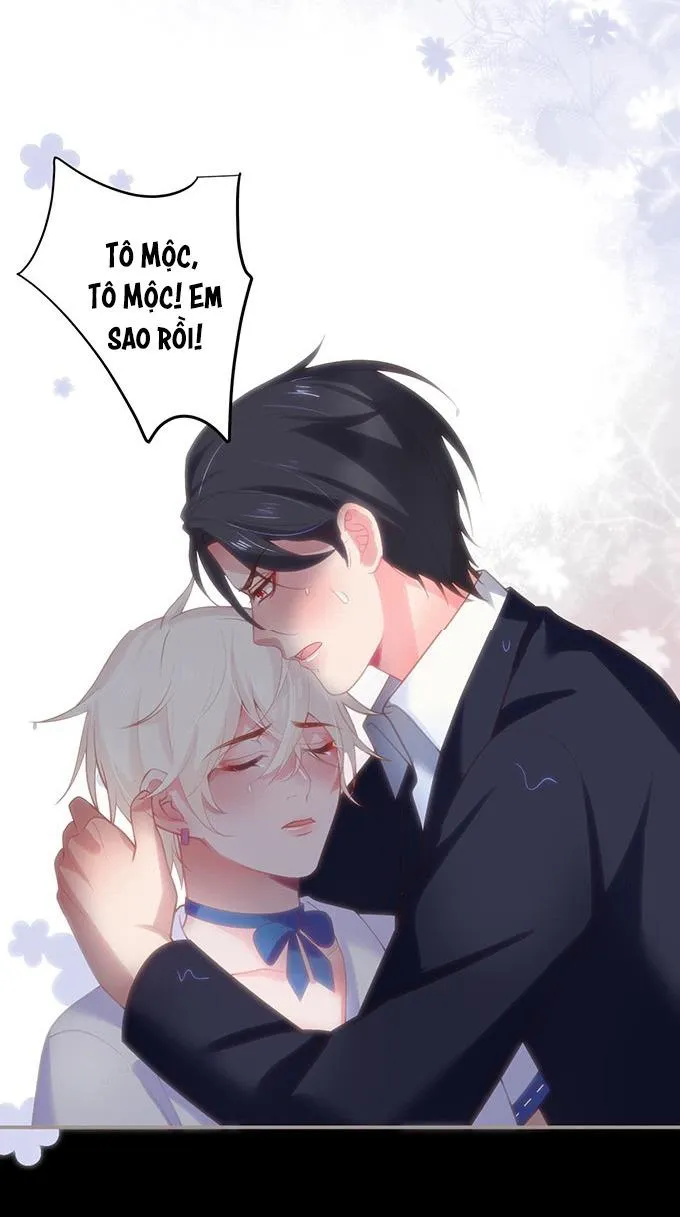 Oxy gây chết người [DROP] Chapter 54 Trang 12