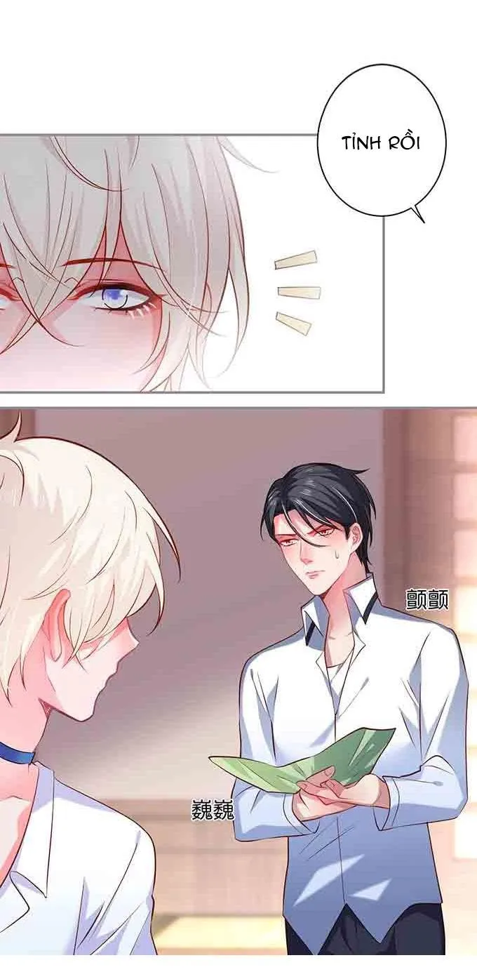 Oxy gây chết người [DROP] Chapter 58 Trang 31