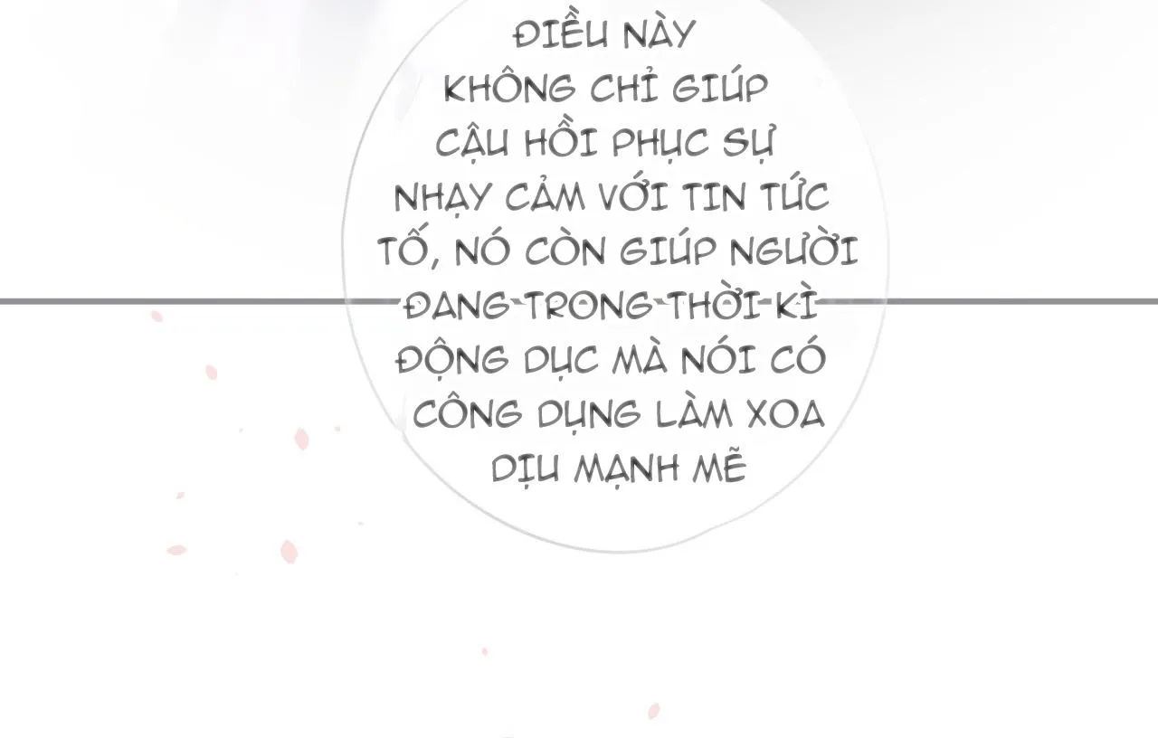 Oxy gây chết người [DROP] Chapter 60 Trang 32