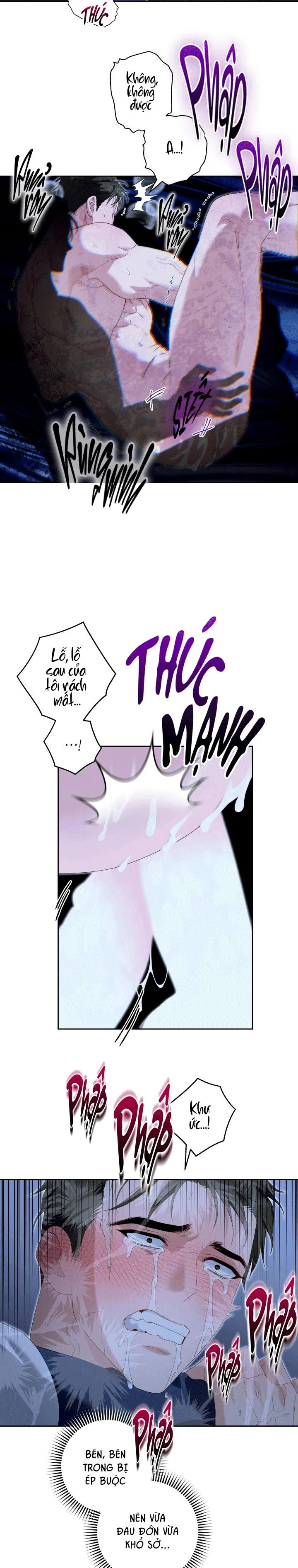 (3P) PÁTERA Chapter 6 Trang 15