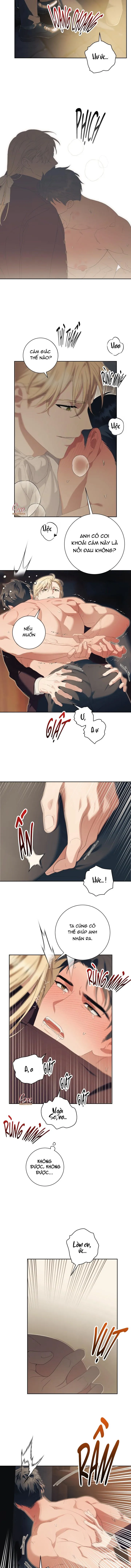 (3P) PÁTERA Chapter 11 Trang 8