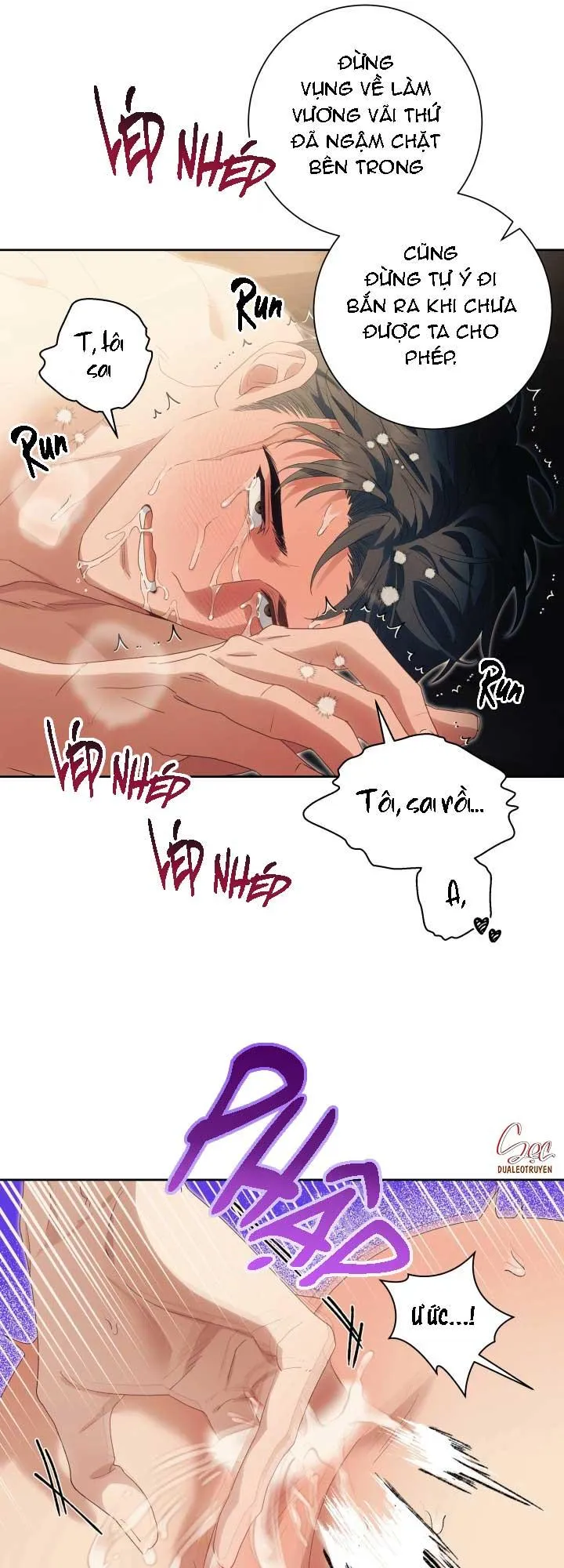 (3P) PÁTERA Chapter 12 Trang 40