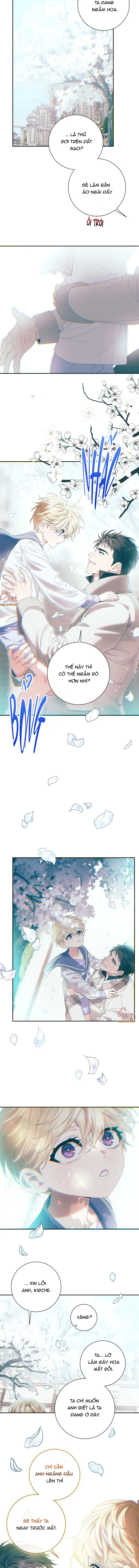 (3P) PÁTERA Chapter 20 Trang 5