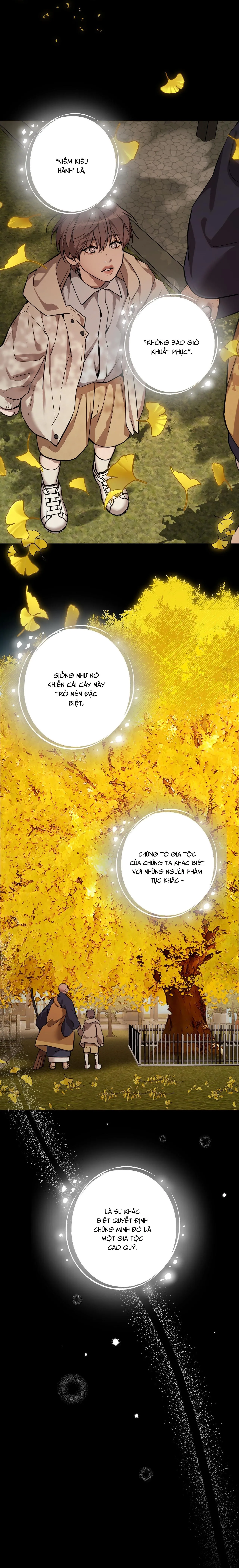 PEARL BOY: IGNITE THE DAWN Chapter 12 Trang 43