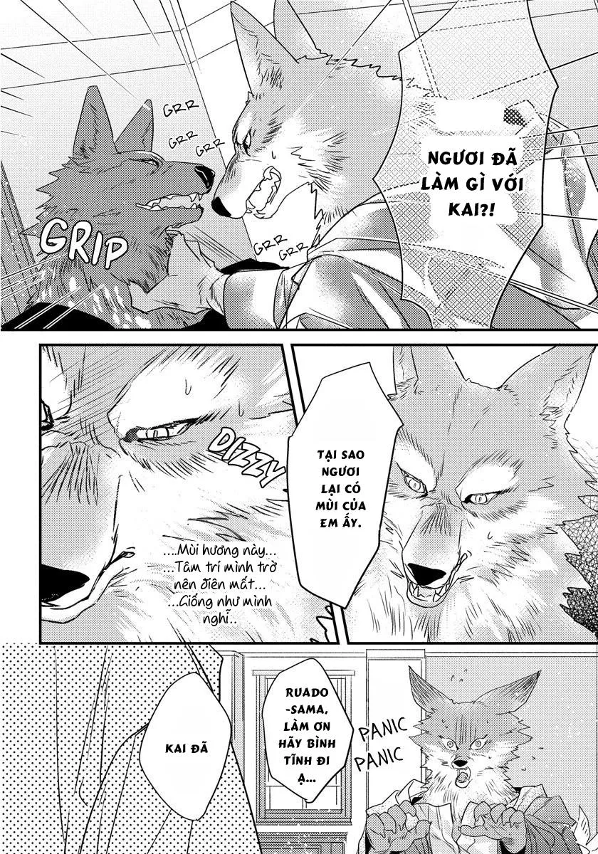 Pendulum Jujin Omegaverse Chapter 3 Trang 14