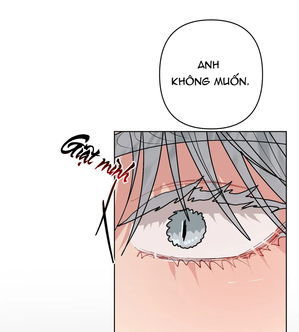 (ABO) Peppermint Candy Chapter 23 Trang 14