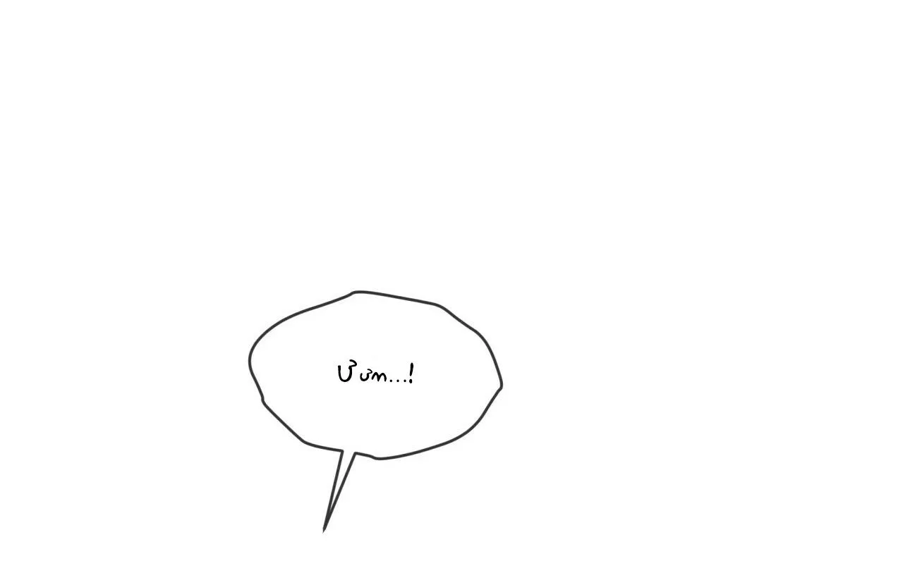 Phạm Luật Chapter 37 Trang 67