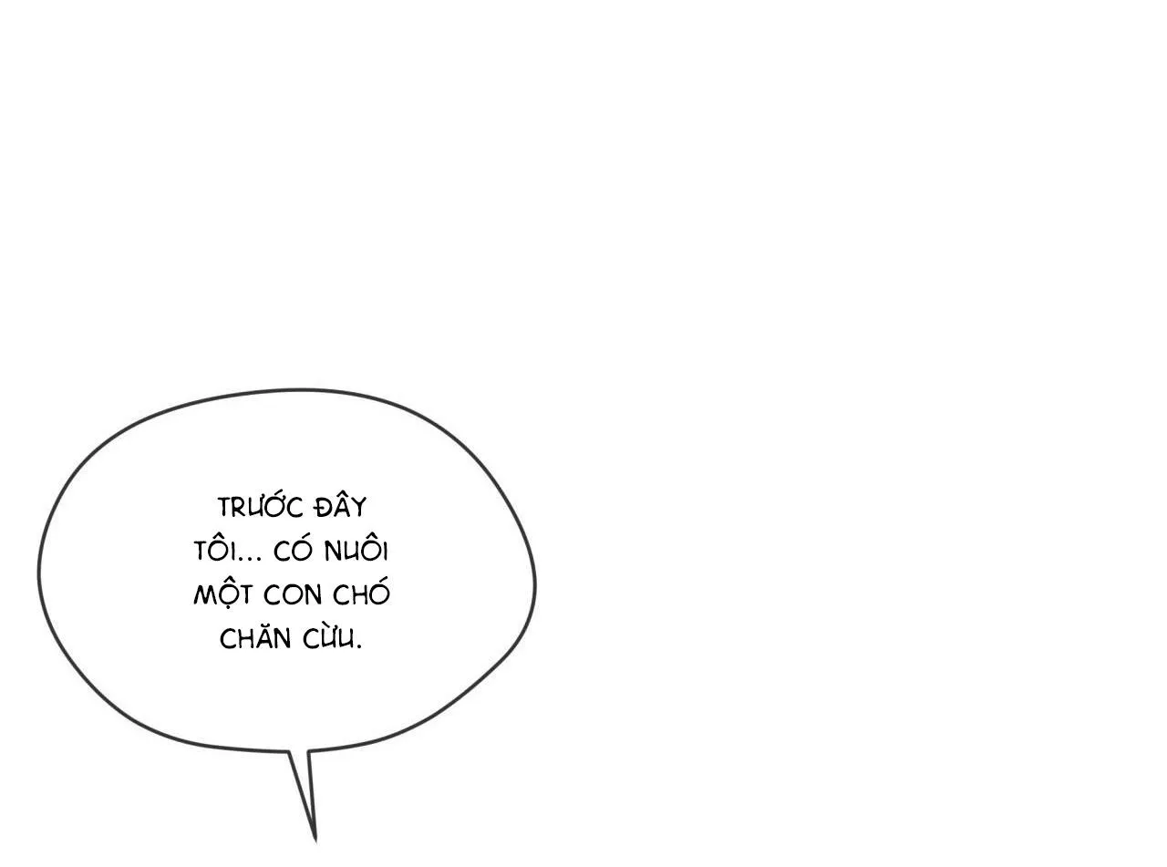 Phạm Luật Chapter 42 Trang 14