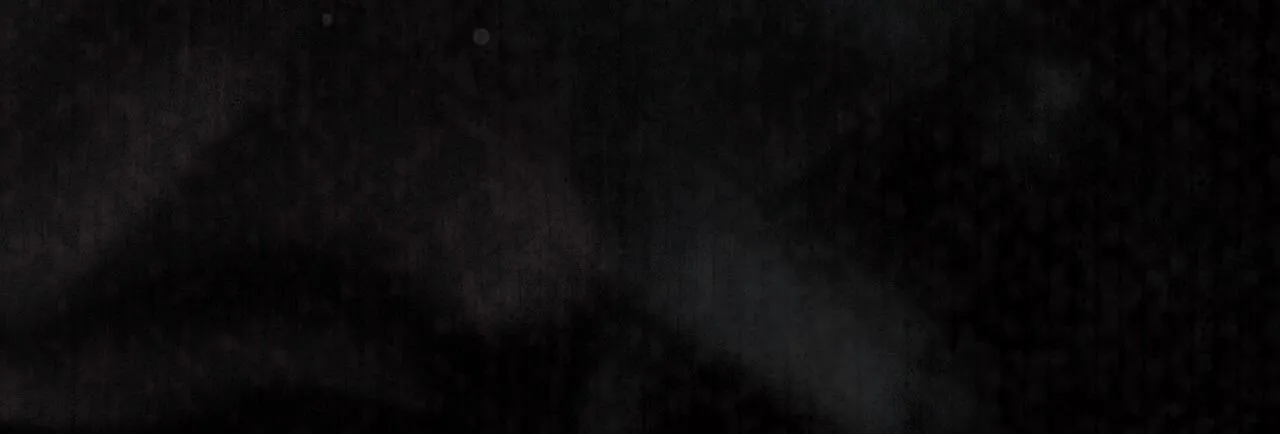 Phạm Luật Chapter 44 Trang 29