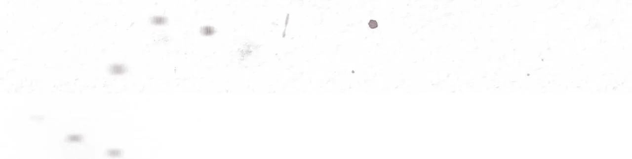 Phạm Luật Chapter 49 Trang 71