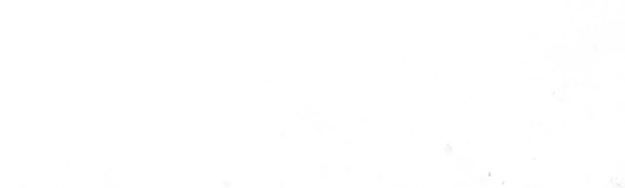 Phạm Luật Chapter 53 Trang 42