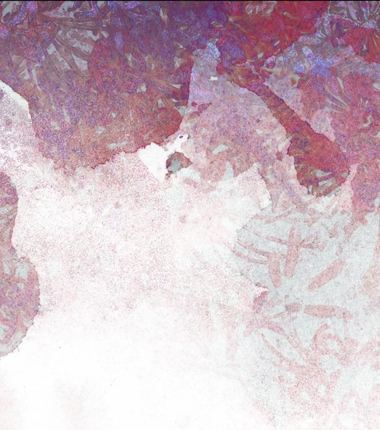 Phạm Luật Chapter 53 Trang 45