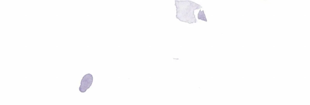 Phạm Luật Chapter 53 Trang 52