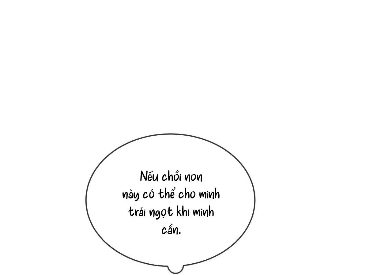 Phạm Luật Chapter 58 Trang 66