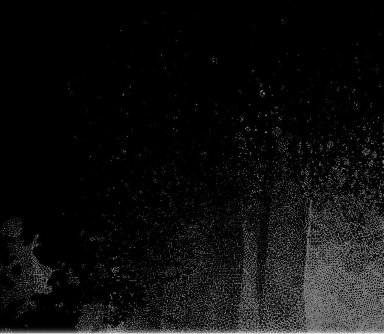 Phạm Luật Chapter 61 Trang 57