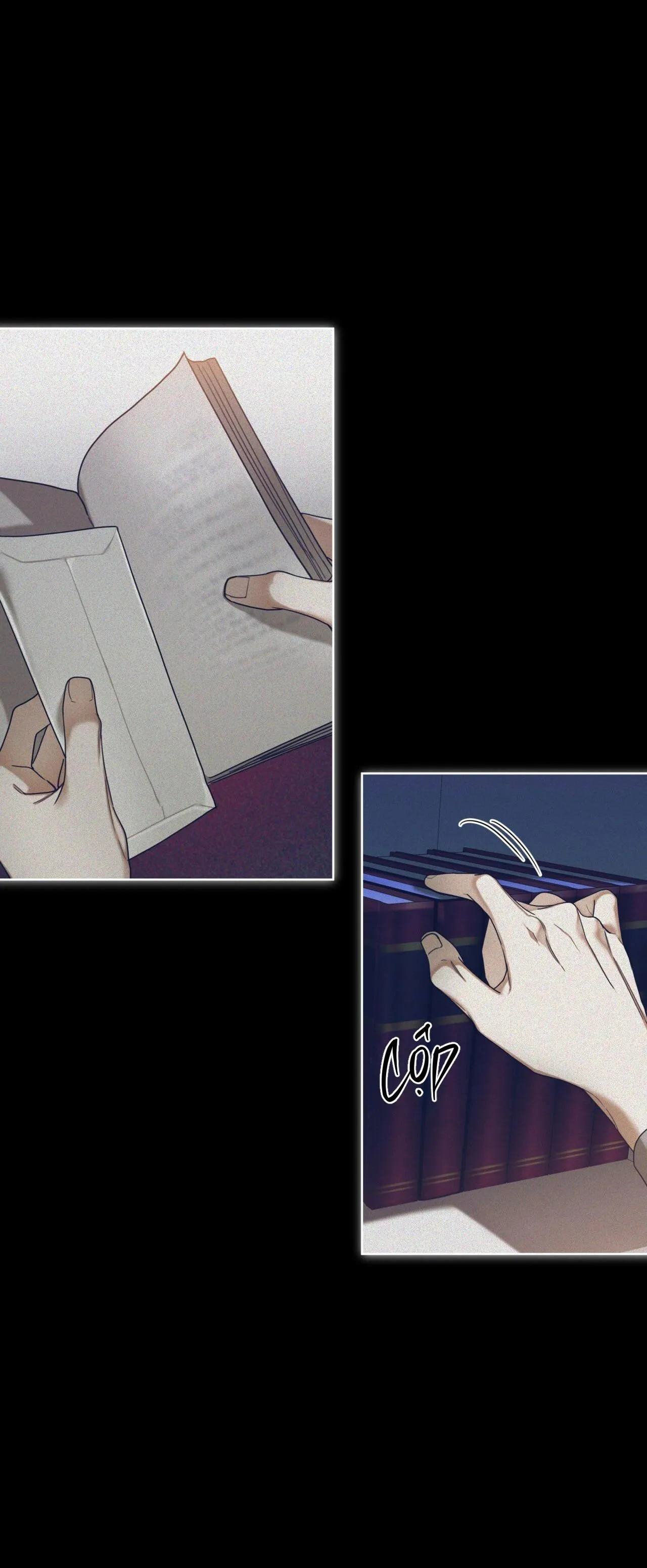 Phạm Luật Chapter 67 Trang 14