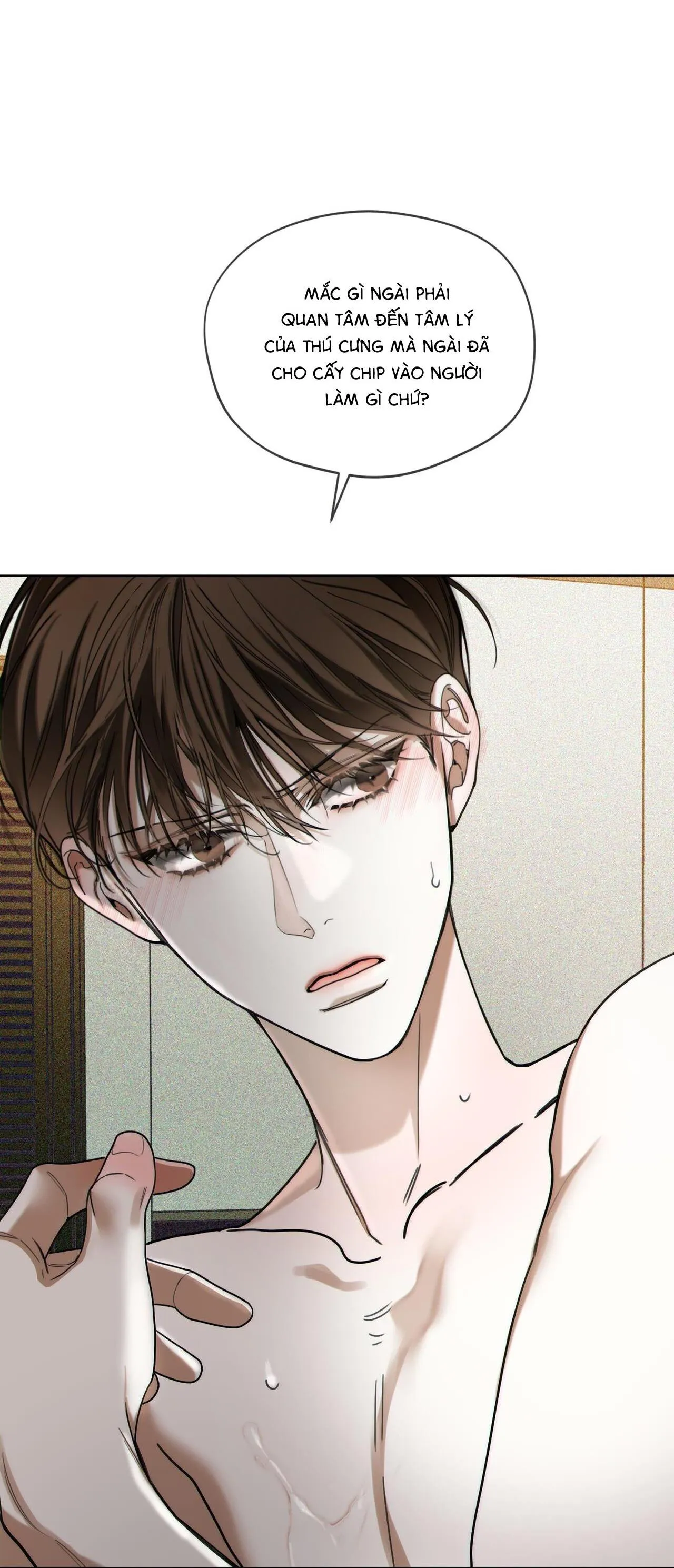 Phạm Luật Chapter 82 Trang 53