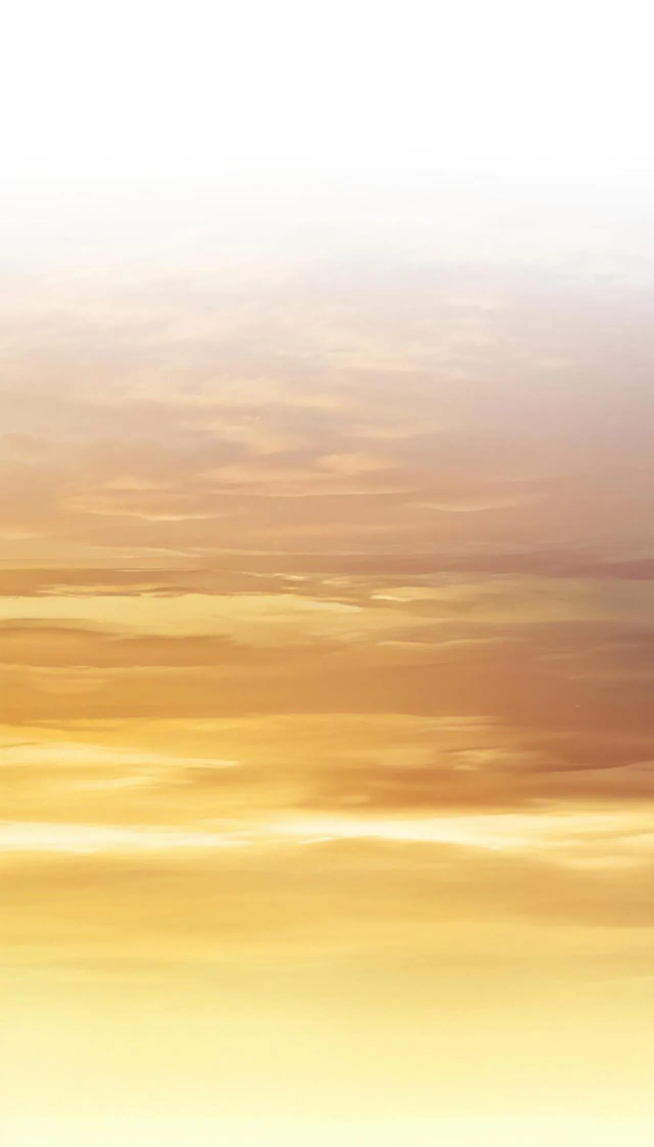 Phạm Luật Chapter 88 Trang 11