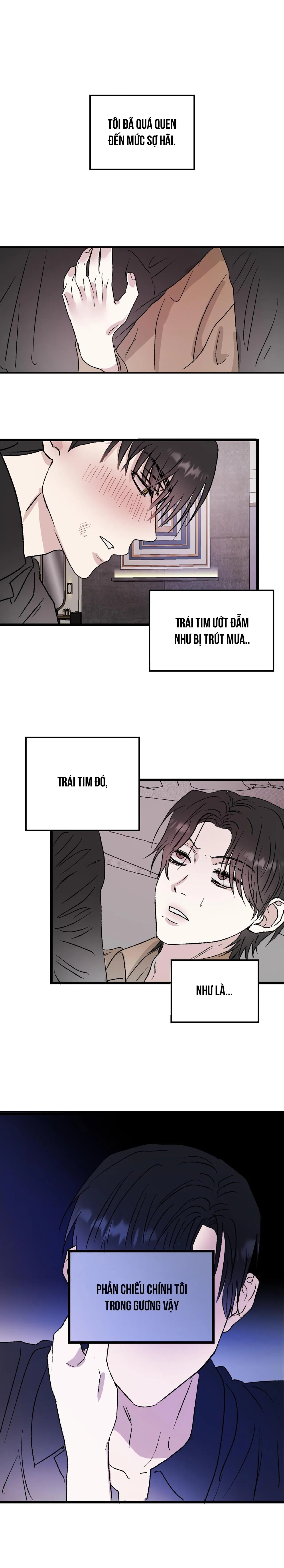 Phản Chiếu Chapter 5 Trang 6
