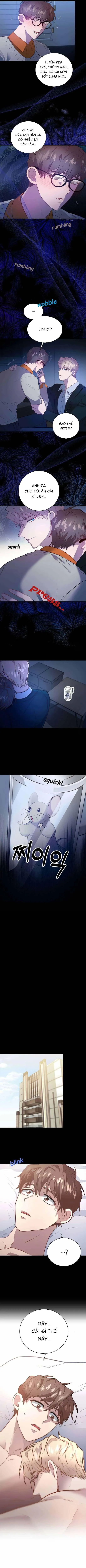 Phản Diện Đều Là Những Kẻ Ngu Ngốc Chapter 3 Trang 3