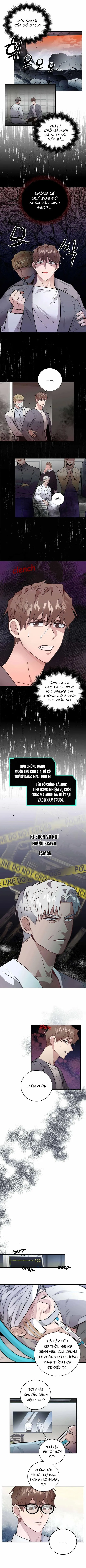 Phản Diện Đều Là Những Kẻ Ngu Ngốc Chapter 4 Trang 3