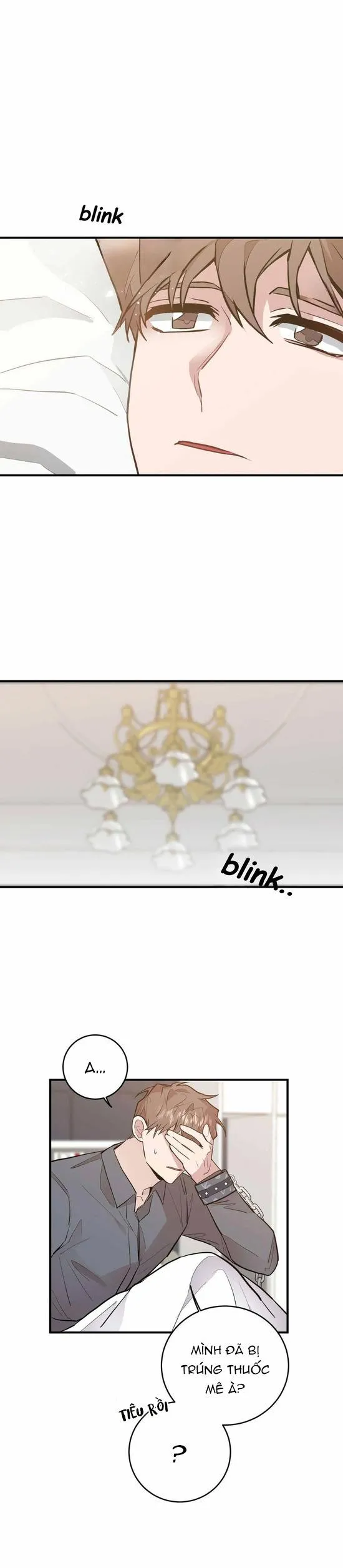 Phản Diện Đều Là Những Kẻ Ngu Ngốc Chapter 7 Trang 8