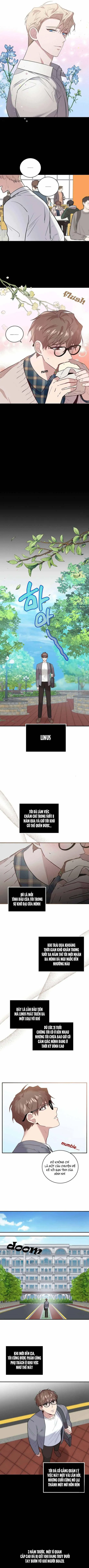 Phản Diện Đều Là Những Kẻ Ngu Ngốc Chapter 1 Trang 7