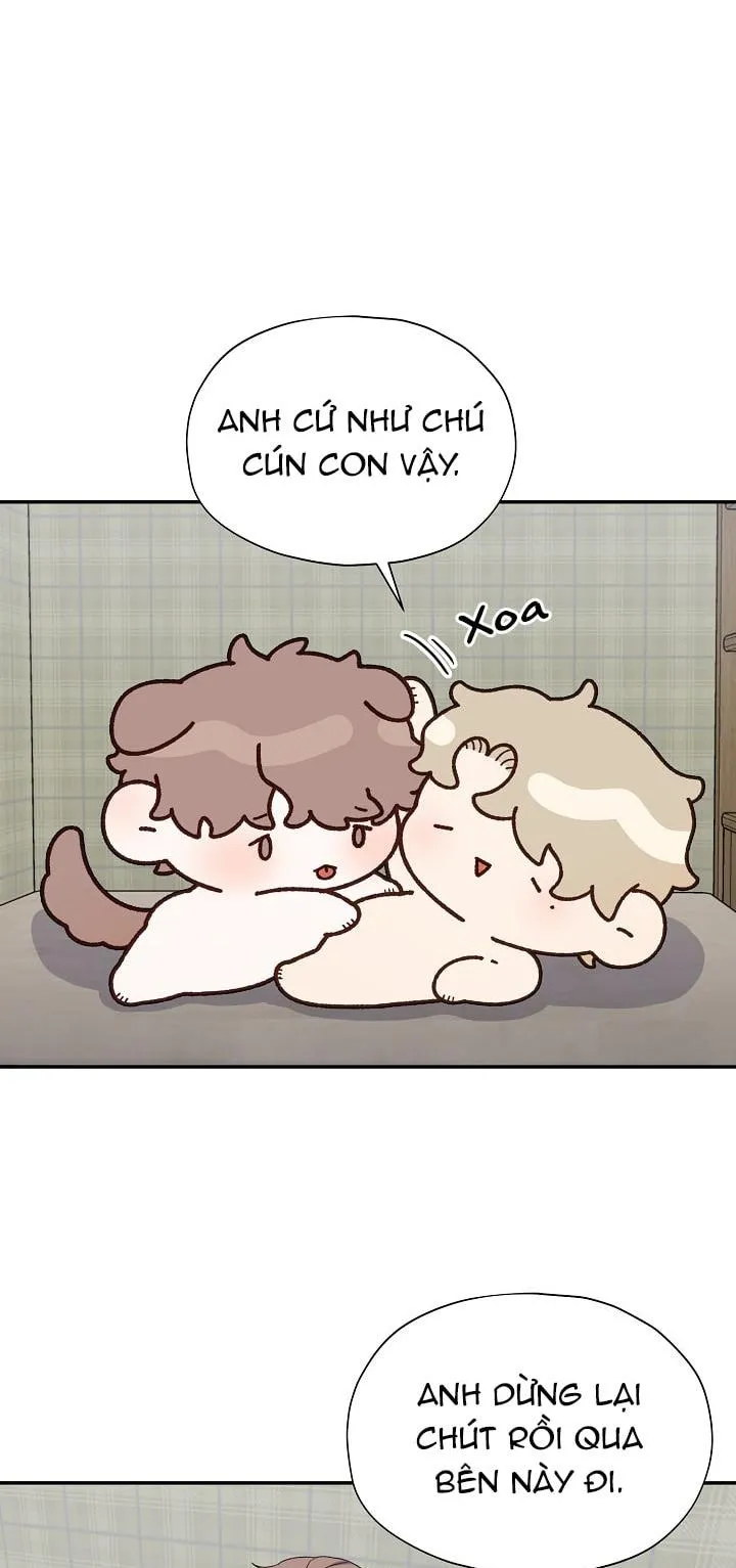 Phân Tán Chapter 23 Trang 56