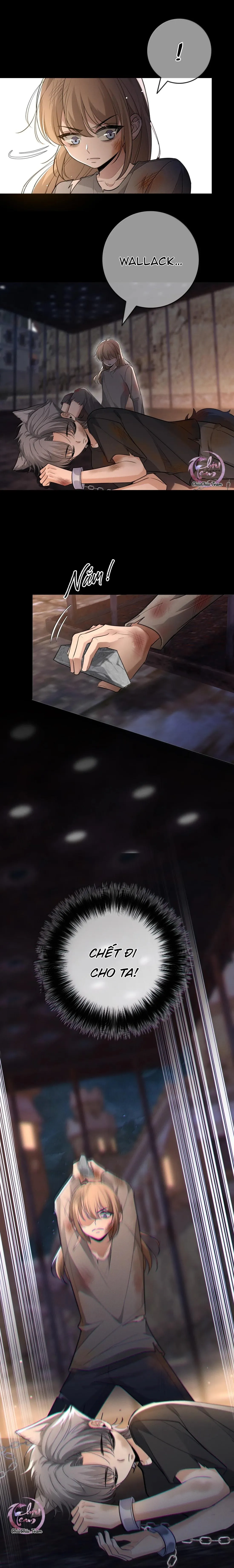 Phệ Chủ Chapter 47 Trang 11