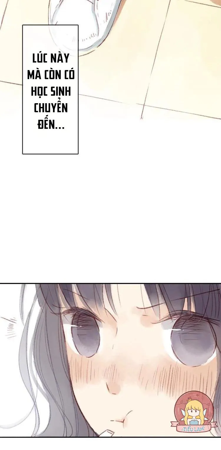 Phế Sài Thần Đăng Và Công Chúa Chapter 13 Trang 7