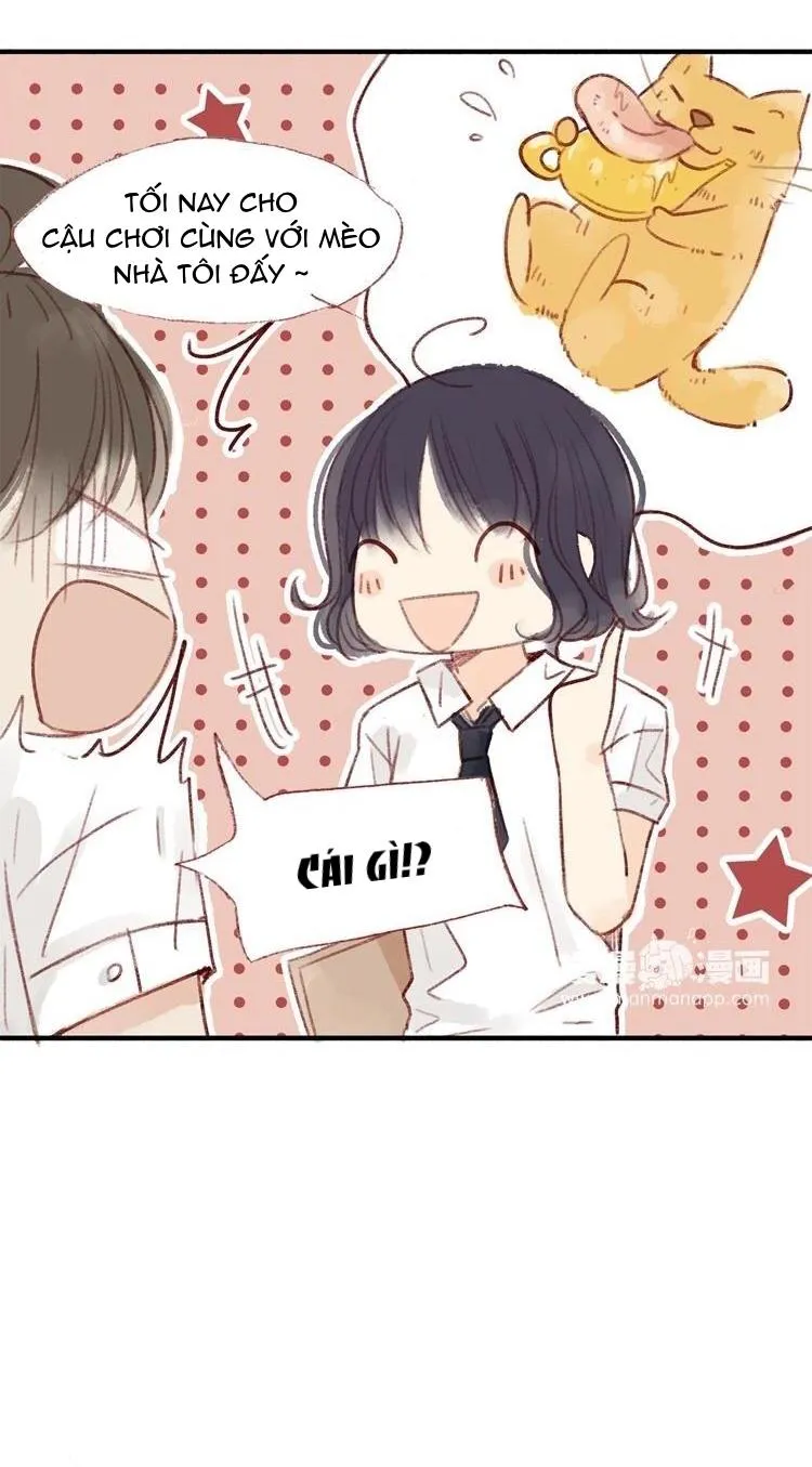 Phế Sài Thần Đăng Và Công Chúa Chapter 28 Trang 13