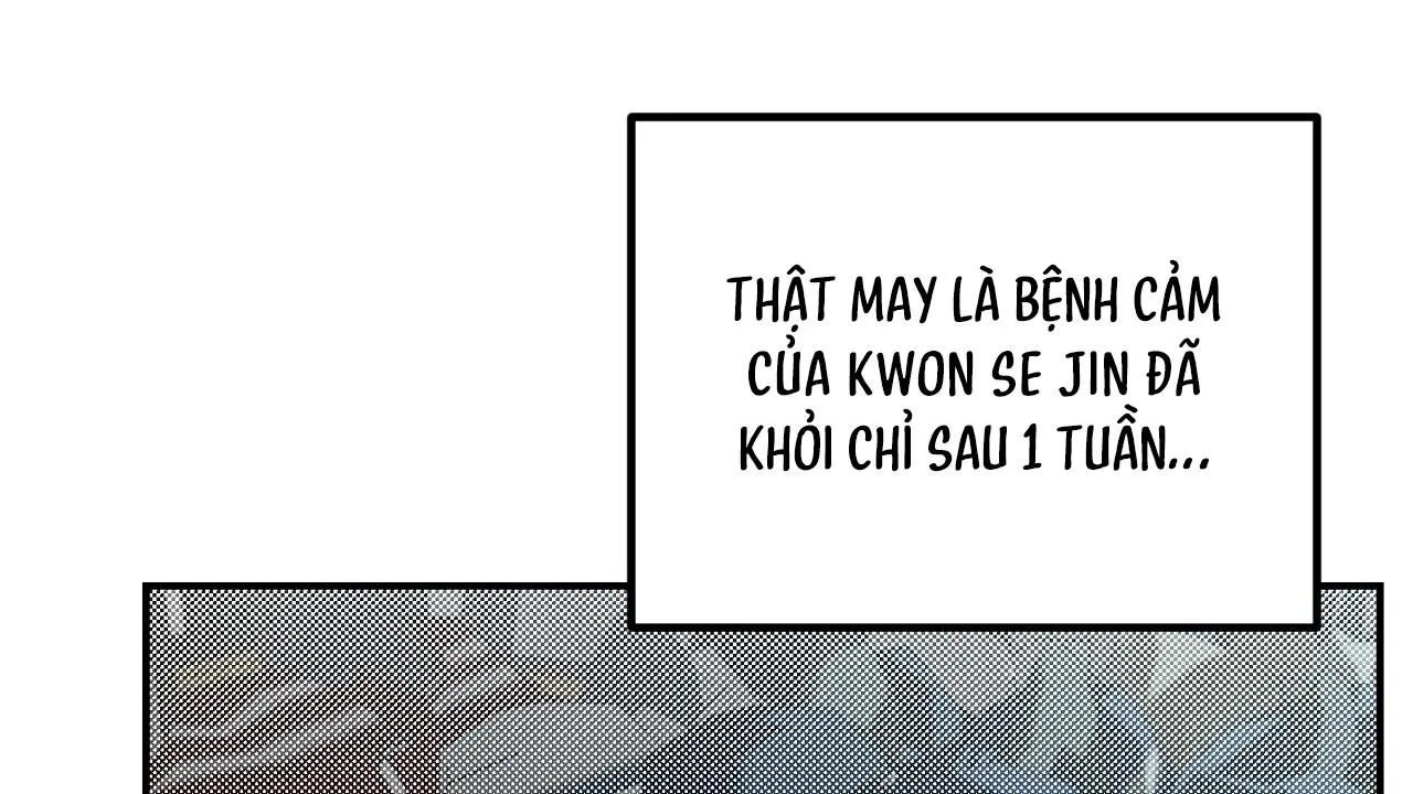 Hình Chiếu Chapter 21 Trang 7