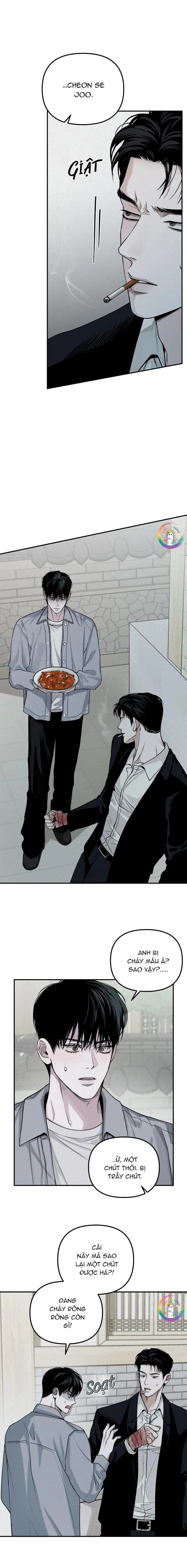 Hình Chiếu Chapter 31 Trang 8