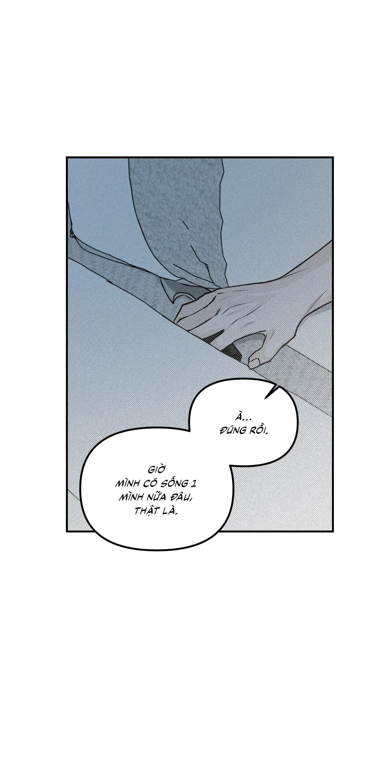 Phép Chiếu Chapter 14 Trang 28