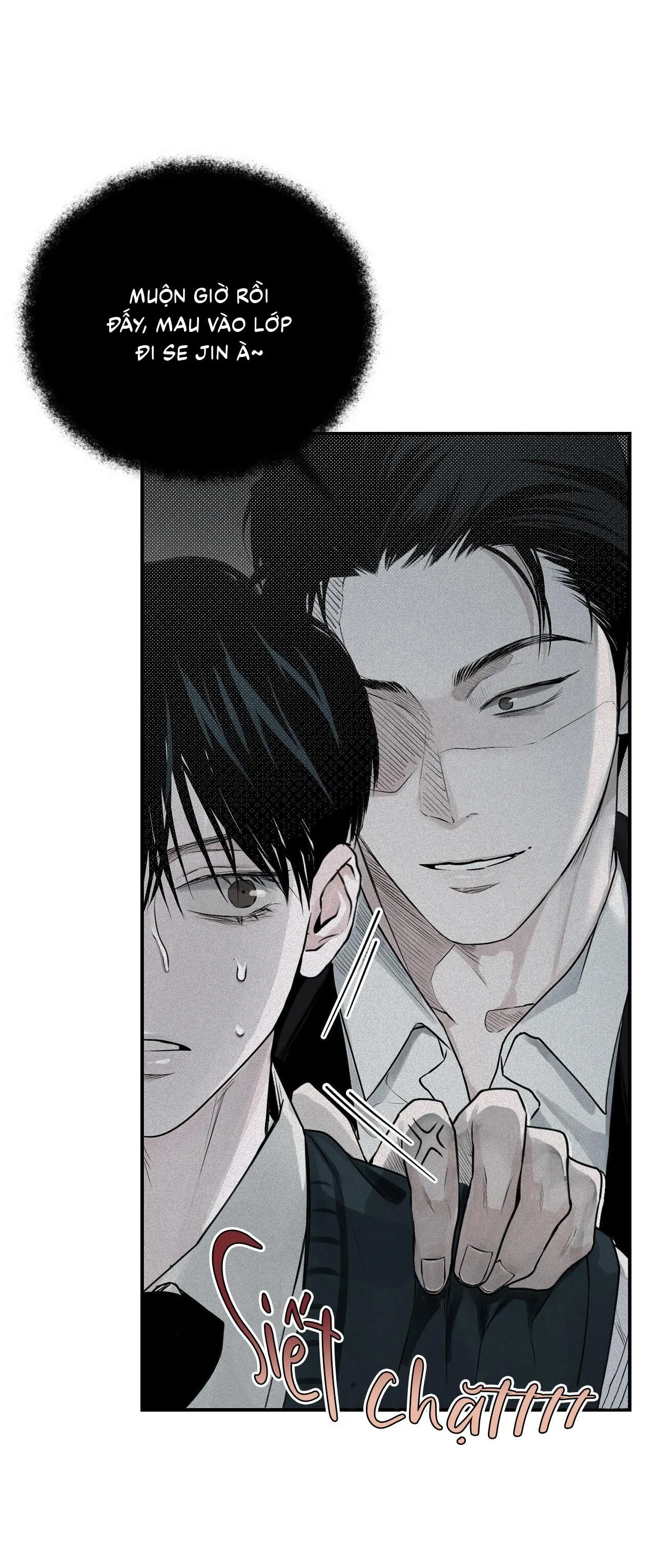 Phép Chiếu Chapter 15 Trang 28